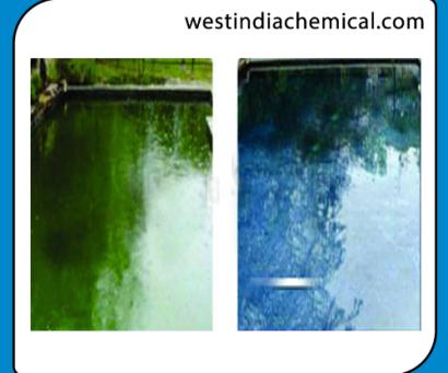 Algaecide