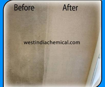 Carpet Cleaner Bio