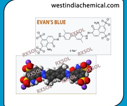 EVAN'S BLUE