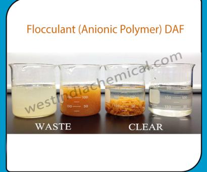 Flocculant Anionic Polymer DAF