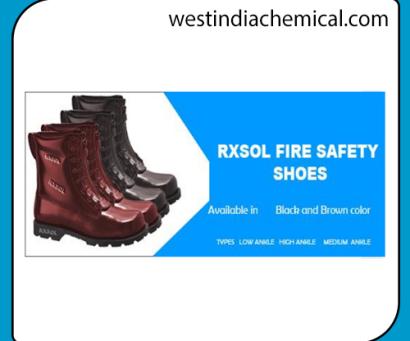 Foot Protection Safety SHOE