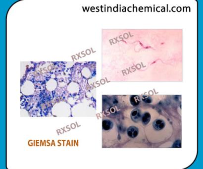GIEMSA STAIN