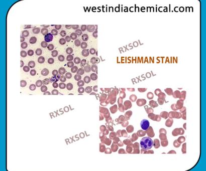 LEISHMAN STAIN