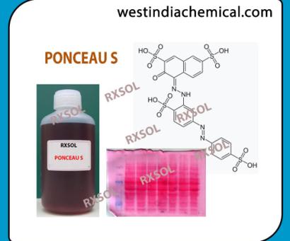 PONCEAU S