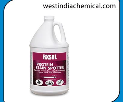 Protein Stain Spotter