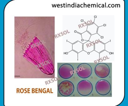 ROSE BENGAL