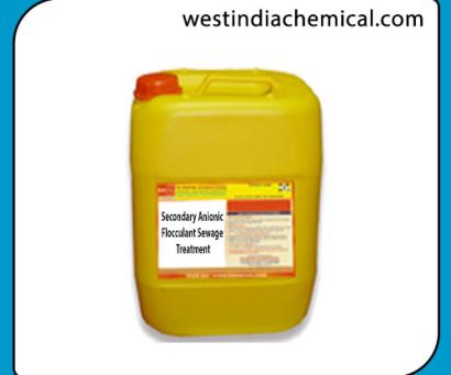 Secondary Anionic Flocculant Sewage Treatment