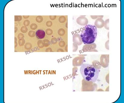 WRIGHT STAIN