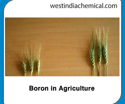 Boron