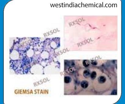 GIEMSA STAIN FOR MICROSCOPY