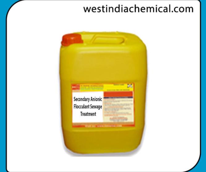 Secondary Anionic Flocculant Sewage Treatment